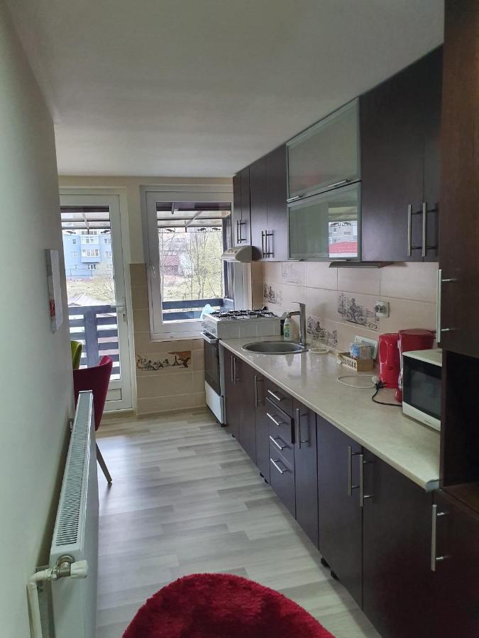 Villa Coca Câmpulung Moldovenesc Exteriör bild