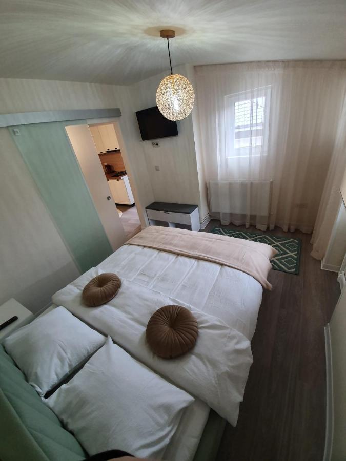 Villa Coca Câmpulung Moldovenesc Exteriör bild